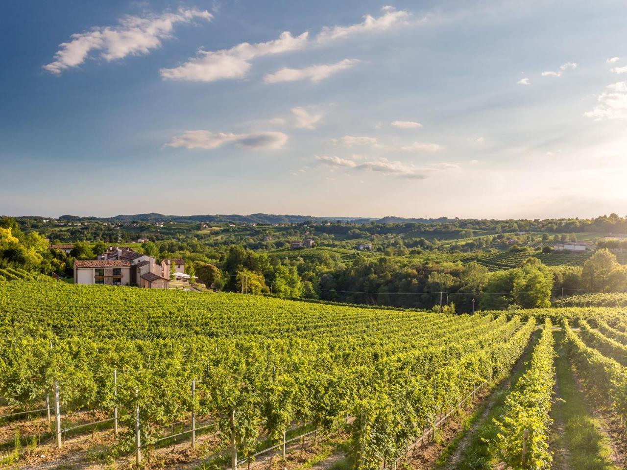 Tenuta Sant'Eufemia Сан-Пьетро-ди-Фелетто Экстерьер фото